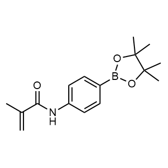 2-Methyl-N-[4-(4,4,5,5-tetramethyl-1,3,2-dioxaborolan-2-yl)phenyl]-2-propenamide Structure