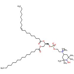 1-棕榈酰基-2-油酰基-sn-甘油-3-磷酸(速度)胆碱图片