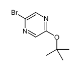 2-溴-5-(叔丁氧基)吡嗪结构式