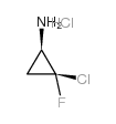 (1R,2R)-2-chloro-2-fluorocyclopropan-1-amine,hydrochloride结构式