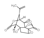 Picrotoxinin Structure