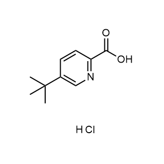 5-(叔丁基)吡啶甲酸(盐酸盐)结构式