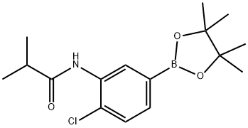4-氯-3-异丁酰胺基苯基硼酸频哪醇酯结构式