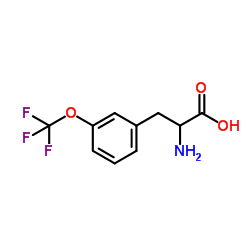 3-(Trifluoromethoxy)phenylalanine picture