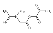 丙酮酸肌酸盐结构式