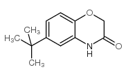 6-(tert-Butyl)-2H-1,4-benzoxazin-3(4H)-one structure