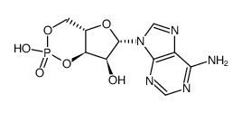 腺苷-3'-5'-环磷酸结构式