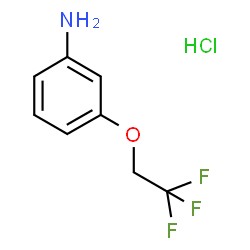 3-(2,2,2-Trifluoroethoxy)anilinehydrochloride Structure