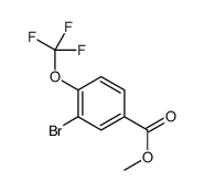 3-溴-4-(三氟甲氧基)苯甲酸甲酯结构式