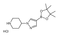 1-(4-哌啶基)-1H-吡唑-4-硼酸频那醇盐酸盐结构式