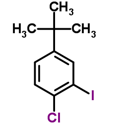 1-Chloro-2-iodo-4-(2-methyl-2-propanyl)benzene Structure