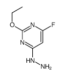 2-乙氧基-4-氟-6-肼基嘧啶结构式