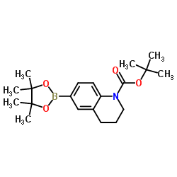 tert-Butyl 6-(4,4,5,5-tetramethyl-1,3,2-dioxaborolan-2-yl)-3,4-dihydroquinoline-1(2H)-carboxylate Structure