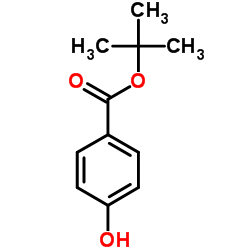 4-羟基苯甲酸叔丁酯结构式