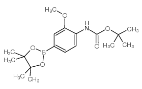 4-(叔丁氧羰氨基)-3-甲氧基苯硼酸频那醇酯图片