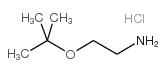 2-叔丁氧基乙胺盐酸盐结构式
