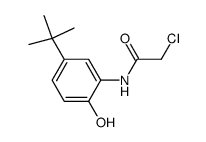 N-(5-TERT-BUTYL-2-HYDROXY-PHENYL)-2-CHLORO-ACETAMIDE结构式