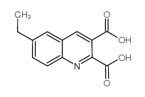 6-乙基喹啉-2,3-二羧酸结构式