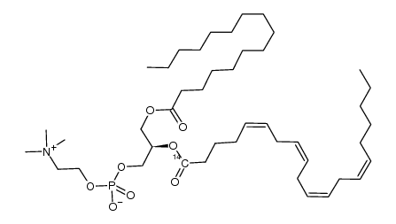 [(14)C]1-palmitoyl-2-arachidonoyl-sn-glycero-3-phosphocholine结构式