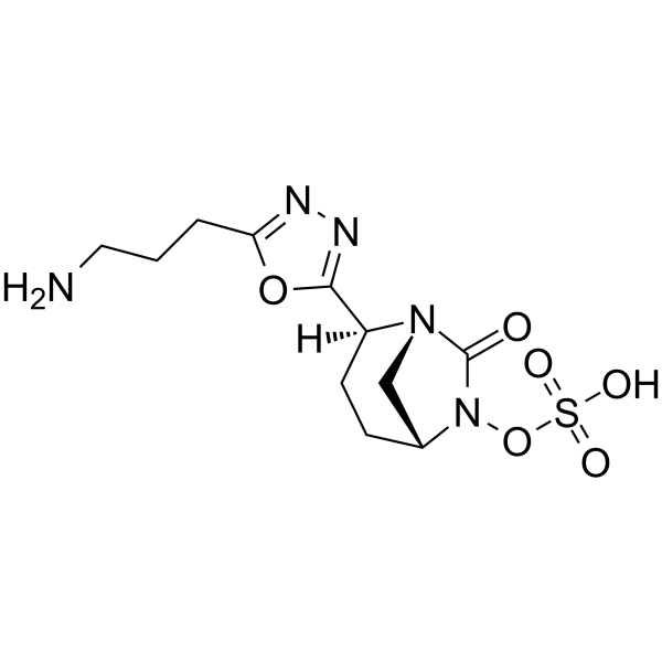 β-Lactamase-IN-5 structure