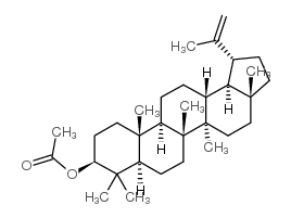 羽扇豆醇 3-乙酸酯结构式