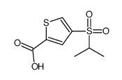 4-异丙基磺酰基噻吩-2-羧酸结构式