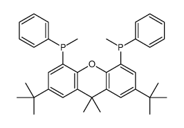 (R,r)-2,7-二-叔丁基-9,9-二甲基-4,5-双(甲基苯膦)氧杂蒽结构式