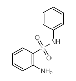 2-氨基-N-苯基苯磺酰胺结构式