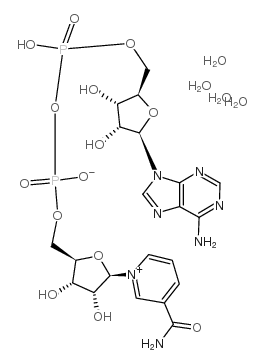 β-NICOTINAMIDE ADENINE DINUCLEOTIDE TETRAHYDRATE, CRYSTALLINE, 98+% Structure