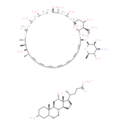 amphotericin B-deoxycholate structure