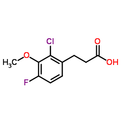 3-(2-Chloro-4-fluoro-3-methoxyphenyl)propanoic acid结构式