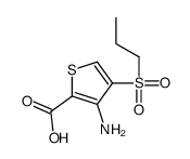 3-AMINO-4-(N-PROPYLSULFONYL)THIOPHENE-2-CARBOXYLIC ACID Structure