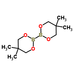 5,5,5',5'-Tetramethyl-2,2'-bi(1,3,2-dioxaborinane) picture