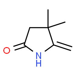 4,4-Dimethyl-5-methylene-2-pyrrolidinone Structure