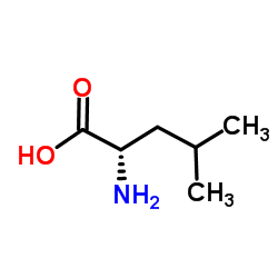 聚-L-亮氨酸结构式