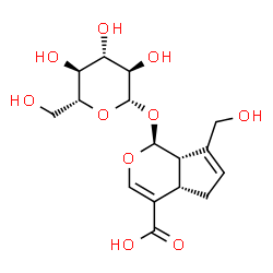 (1S,2S,6S)-9-(hydroxymethyl)-2-[(2S,3R,4S,5R,6R)-3,4,5-trihydroxy-6-(hydroxymethyl)oxan-2-yl]oxy-3-oxabicyclo[4.3.0]nona-4,8-diene-5-carboxylic acid structure