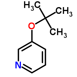 3-(叔丁氧基)吡啶结构式