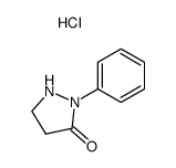 2-Phenyl-pyrazolidin-3-one; hydrochloride结构式