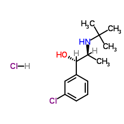 (1S,2S)-1-(3-Chlorophenyl)-2-[(2-methyl-2-propanyl)amino]-1-propanol hydrochloride (1:1) Structure