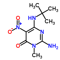 2-Amino-6-(tert-butylamino)-3-methyl-5-nitropyrimidin-4(3H)-one结构式
