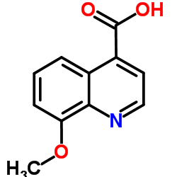 8-甲氧基喹啉-4-羧酸结构式
