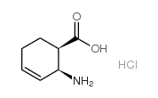 顺式-2-氨基-环己-3-烯羧酸盐酸盐结构式