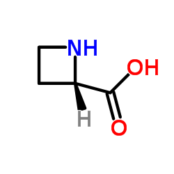(|S|)-(-)-2-羧基环丁胺结构式