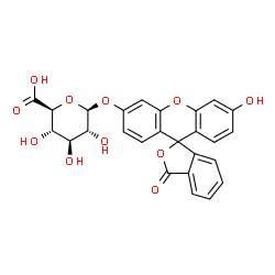 fluorescein glucuronide结构式