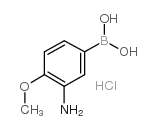 (3-Amino-4-methoxyphenyl)boronic acid hydrochloride picture