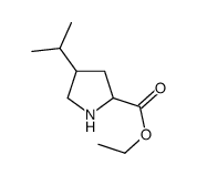 ethyl 4-propan-2-ylpyrrolidine-2-carboxylate Structure