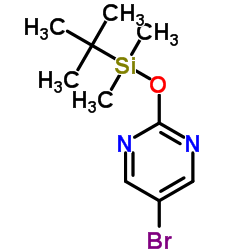 5-溴-2-(叔丁基二甲氧基甲硅烷)嘧啶结构式