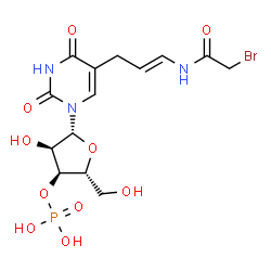 5-(3-(bromoacetamido)allyl)uridine-3'-monophosphate Structure