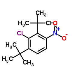 1,3-Di-tert-butyl-2-chloro-4-nitrobenzene Structure