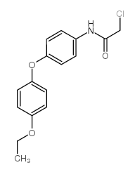 2-chloro-n-[4-(4-ethoxyphenoxy)phenyl]acetamide Structure